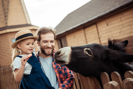 little girl and smiling father feeding donkey together in zooの写真素材