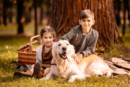 Little children and a dog sitting on a picnic blanket in a parkの写真素材