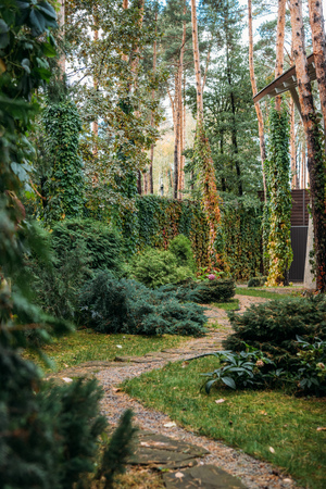 pathway between green bushes and modern cottage houseの写真素材