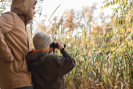 back view of father and son looking through binoculars on swamp の写真素材