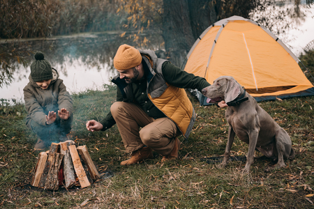 Son and father making a bonfire at camping place on a nature, dog sitting nearの写真素材