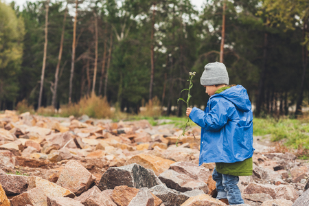 little boy in raincoat with flower in hand spending time on natureの写真素材