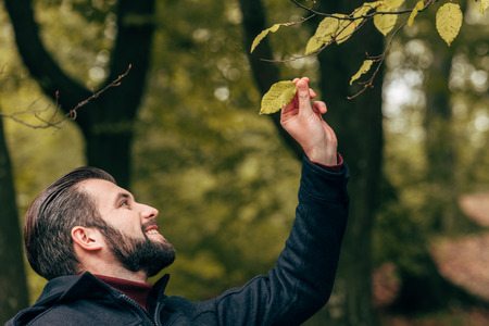 side view of handsome smiling bearded man holding autumn leaf in parkの写真素材
