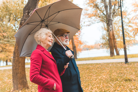 senior couple with umbrella walking in autumn parkの写真素材