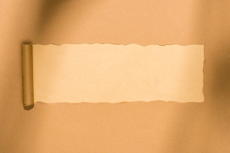 top view of empty ripped cardboard paper on beigeの写真素材