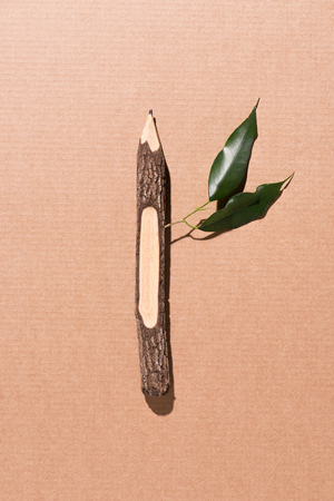 top view of wooden pencil with green leaves on beigeの写真素材