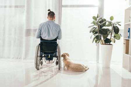 disabled man on wheelchair and his dog in front of windowの写真素材