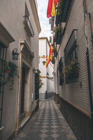 view of narrow street with spanish flagsの写真素材