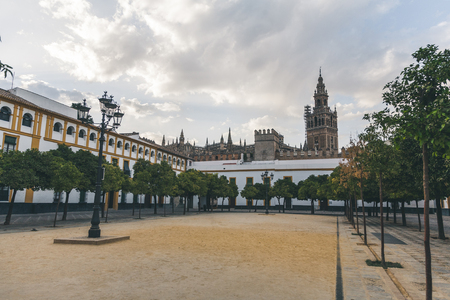 scenic view of city square with trees and Seville Cathedral, spainの写真素材