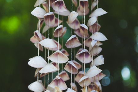 close-up shot of beautiful seashells hanging on threads on dark background