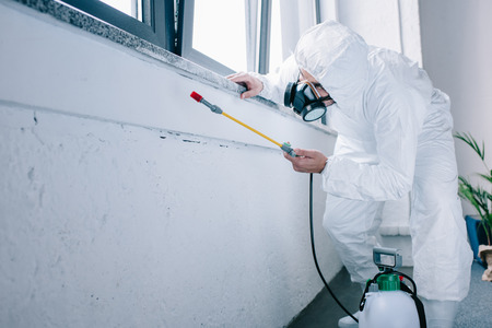 pest control worker spraying chemicals under windowsill at homeの写真素材