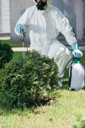 cropped image of pest control worker spraying pesticides on bushの写真素材