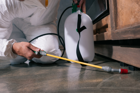 cropped image of pest control worker spraying pesticides on floor in kitchenの写真素材