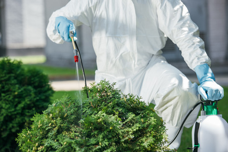 cropped image of pest control worker in uniform spraying chemicals on bushの写真素材