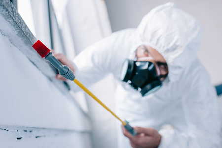 pest control worker spraying pesticides under windowsill at homeの写真素材