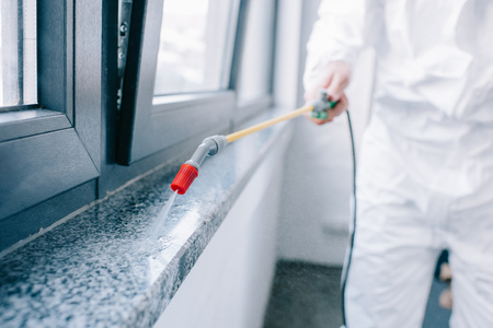 cropped image of pest control worker spraying pesticides on windowsill at home