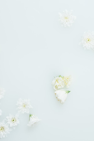 top view of arranged beautiful white flowers in milkの写真素材