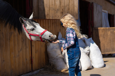 side view of kid feeding horse from hand at farmの写真素材