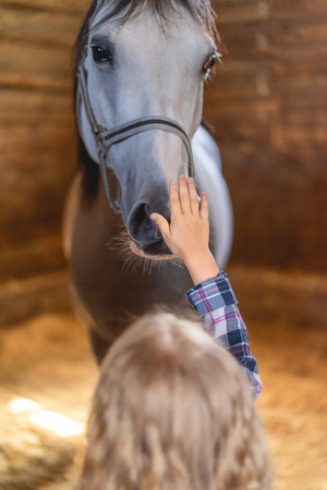 back view of kid touching horse at farmの写真素材