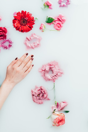 partial view of female hand and beautiful colorful flowers in milkの写真素材