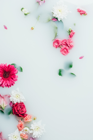 top view of various beautiful colorful flowers in milk background