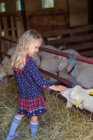 side view of kid palming goat at farmの写真素材