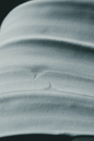 macro view of monochrome grey aloe leafの写真素材