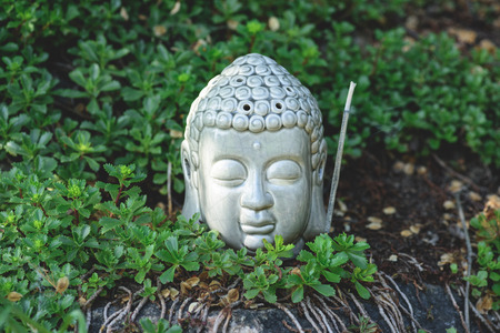 Buddha head with aromatic smoking stick and green plants around