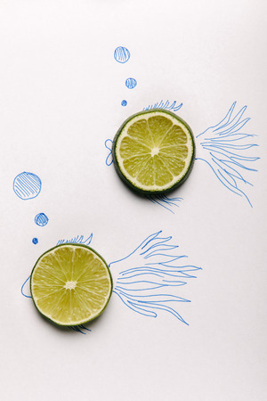 top view of lime slices on fishes drawing on whiteの写真素材