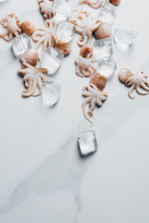 top view of small octopuses with ice cubes on marble surfaceの写真素材