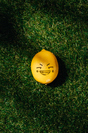 elevated view of lemon with drawing smiling face on green lawn