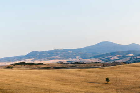 scenic view of beautiful Tuscany fields and clear blue sky, Italyの写真素材