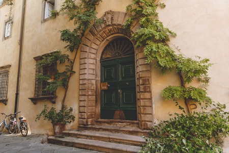 big ancient door with plants in old city, Pisa, Italyの写真素材