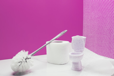 toy toilet with real size toilet brush and paper roll in miniature pink room