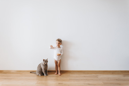 little toddler boy in white bodysuit with cookies and grey cat at homeの写真素材
