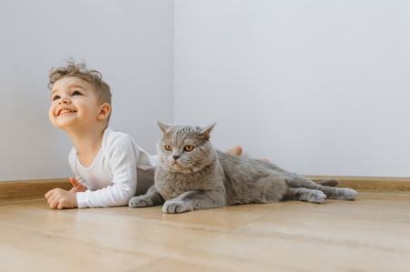 cheerful toddler boy and grey british shorthair cat lying on floor together at homeの写真素材