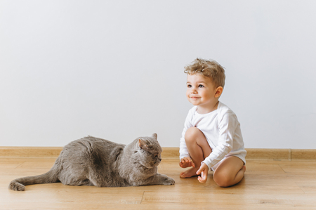 cute little child in white bodysuit and grey british shorthair cat resting on floor at homeの写真素材