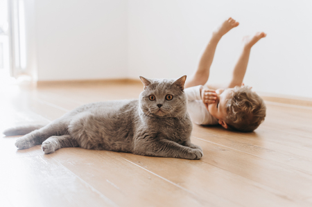 adorable toddler boy and grey british shorthair cat lying on floor together at homeの写真素材