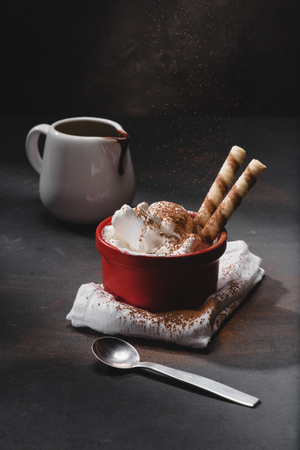 delicious ice cream in bowl with waffles on tableの写真素材