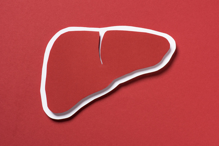 top view of liver on red background, healthcare conceptの写真素材