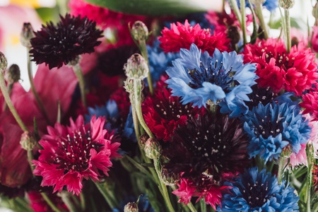 close-up view of beautiful colorful cornflowers, selective focusの写真素材