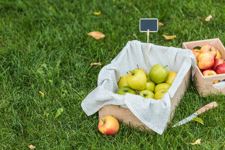 ripe fresh picked apples in boxes with tag for sale on green grassの写真素材
