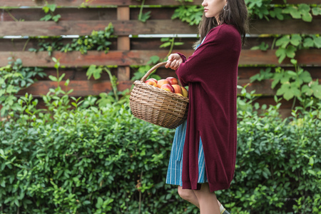 beautiful girl holding wicker basket with fresh picked applesの写真素材