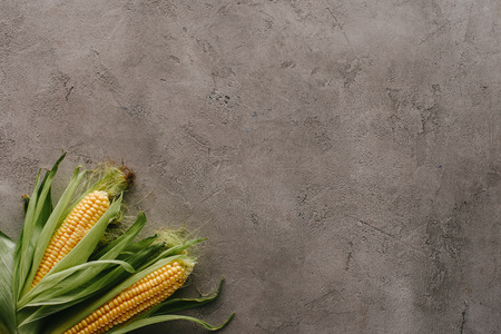 top view of raw corn cobs on grey concrete surface
