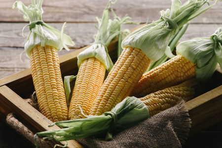 close up view of ripe corn cobs in box with sack cloth on wooden surfaceの写真素材