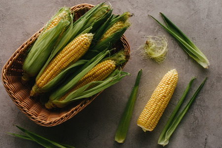 top view of fresh raw corn cobs in basket on concrete surfaceの写真素材