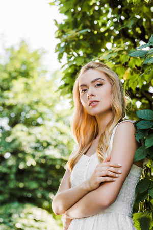 low angle view of beautiful young woman standing with crossed arms and looking at cameraの写真素材