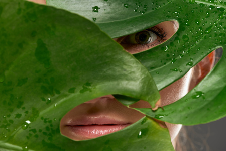 beautiful young woman behind green monstera leavesの写真素材