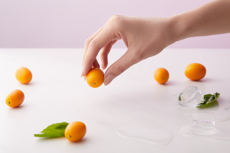 cropped image of woman holding kumquat over table with mint leaves, ice cubes and kumquats on purple backgroundの写真素材