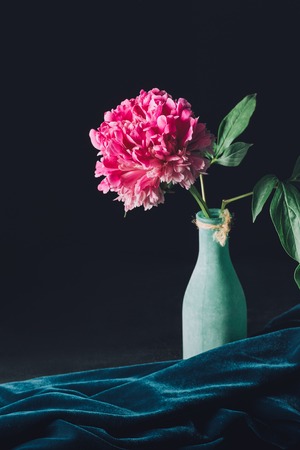 one pink peony flower in vase on dark backgroundの写真素材